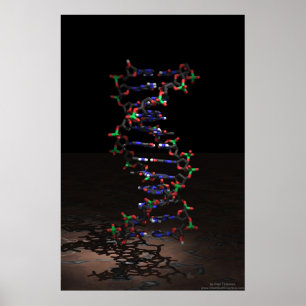Affiches L'ADN sous les projecteurs