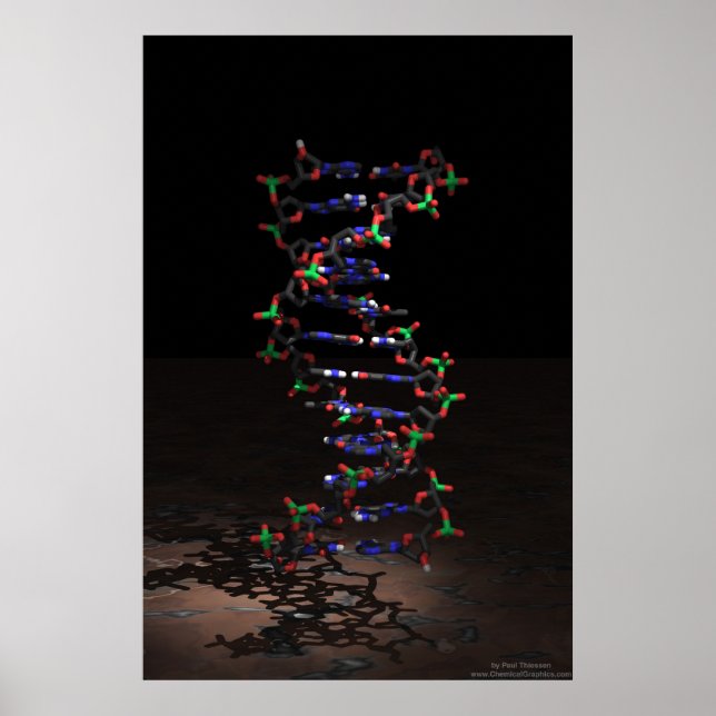 Affiches L'ADN sous les projecteurs (Devant)