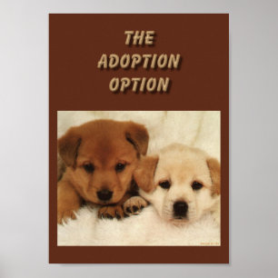 Affiches L'adoption sera-t-elle votre première option ?