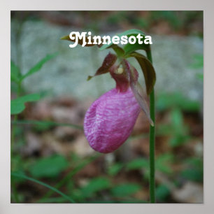 Affiches Lady Slipper