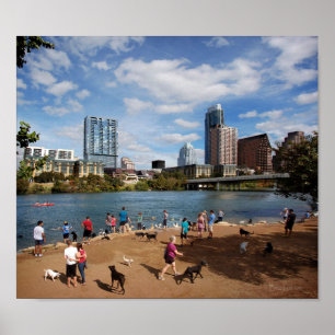 Affiches Ladybird Lake Dog Park Austin Texas Skyline