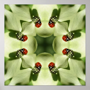 Affiches Ladybug Sur Dogwood Abstrait Nature Mirror Art