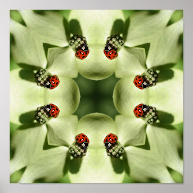 Affiches Ladybug Sur Dogwood Abstrait Nature Mirror Art (Devant)
