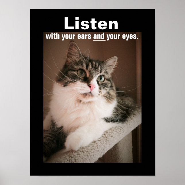 Affiches L'affiche d'écoute (Devant)