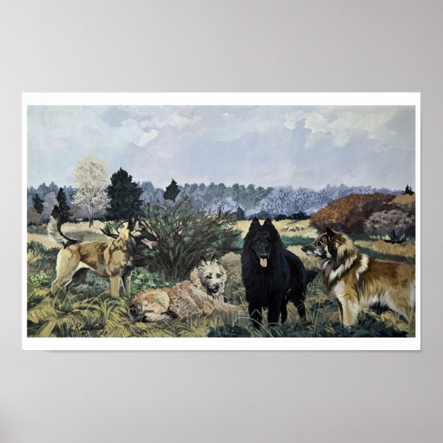 Affiches L'affiche des quatre Belges (Devant)