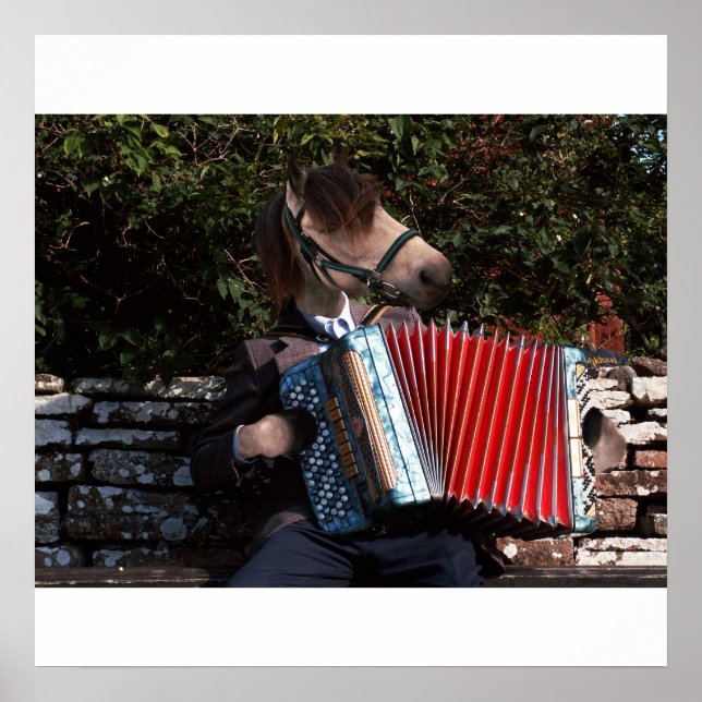 Affiches L'affiche du joueur d'accordéon (Devant)