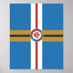 Affiches L'affiche du lion