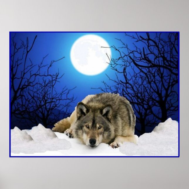 Affiches L'affiche du loup de l'observateur (Devant)