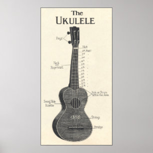 Affiches L'affiche d'Ukulele