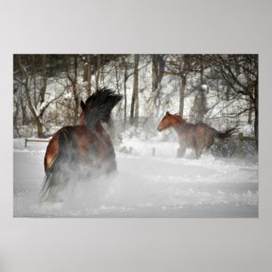 Affiches L'affiche hivernale du Cheval de Chase