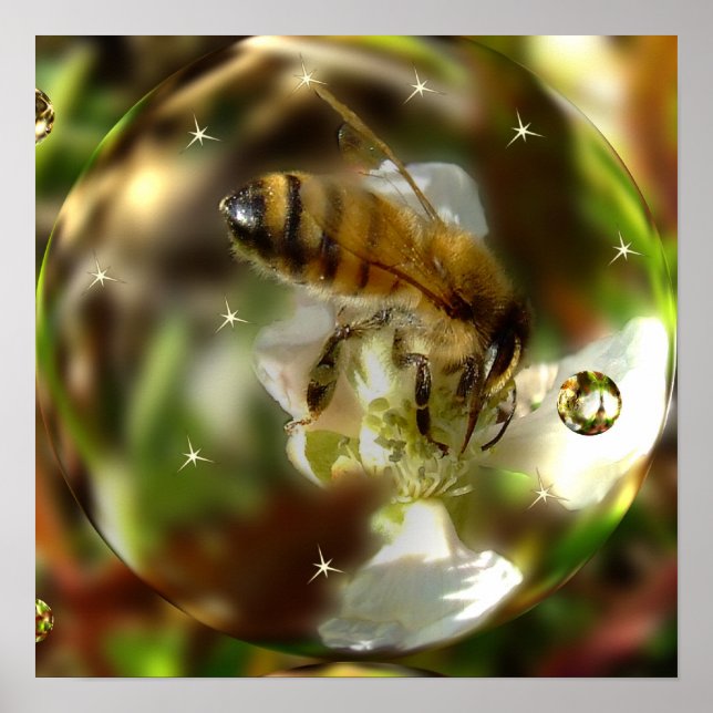 Affiches L'affiche mondiale d'une abeille (Devant)