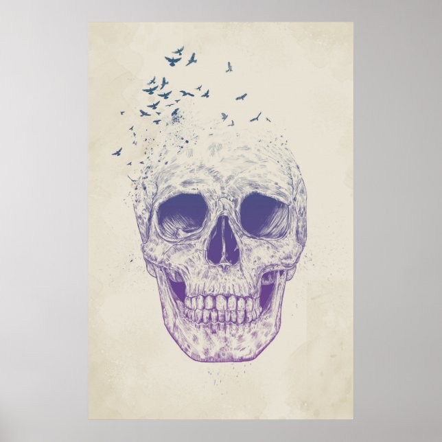 Affiches Laissez-les voler (Devant)