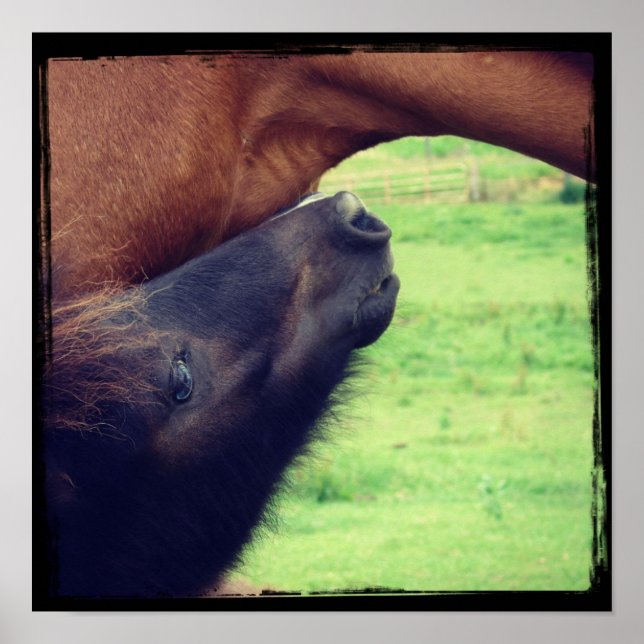 Affiches Laissez-Moi Vous Dire Un Secret (Devant)