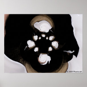 Affiches Lait de Coco