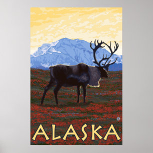 Affiches L'Alaska - caribou