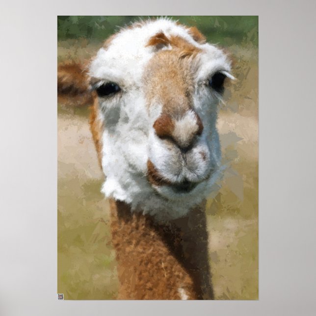 Affiches Lama heureux, effet de peinture (Devant)