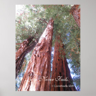 Affiches L'amour n'échoue jamais