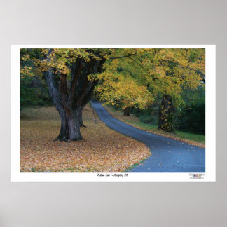 Affiches Lane d'automne