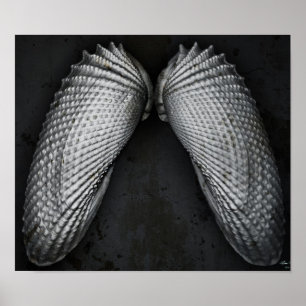 Affiches L'ange s'envole BW