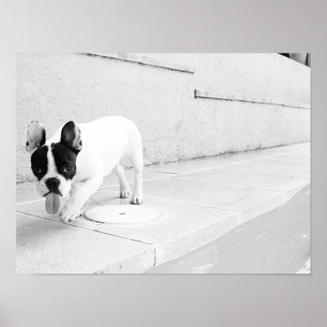 Affiches langue de taureau française (Devant)