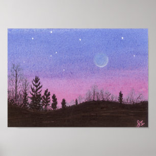 Affiches Lansing Moon & Stars