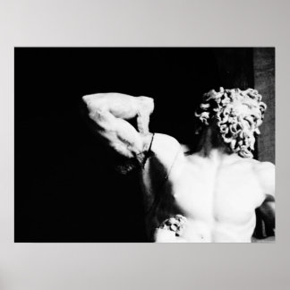 Affiches Laocoon