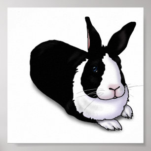 Affiches Lapin noir et blanc