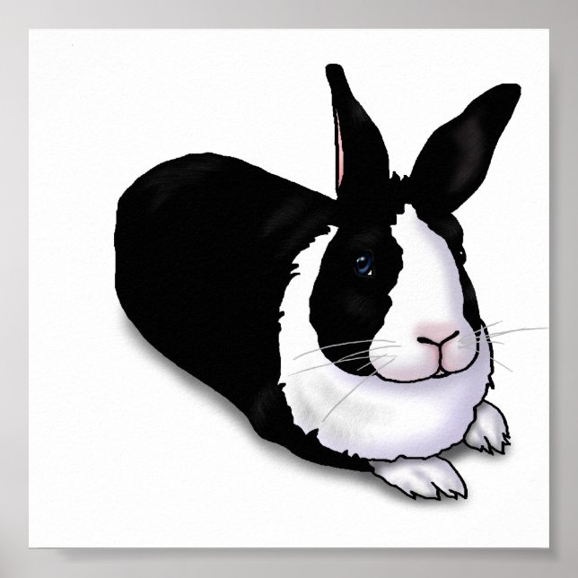 Affiches Lapin noir et blanc (Devant)
