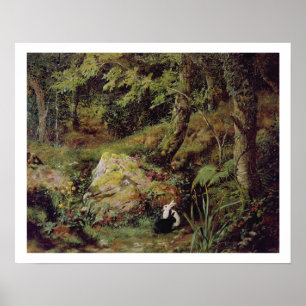 Affiches Lapins errants