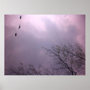 Affiches L'ascension vers le haut est notre nature - Toront