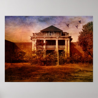 Affiches L'asile créatif