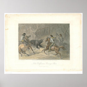 Affiches Lassoing a Bear (1178A)