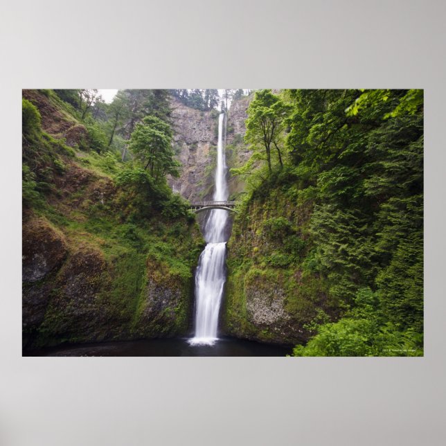 Affiches Latourell Falls & Bridge Columbia River Gorge (Devant)