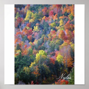 Affiches L'automne dans les Adirondacks