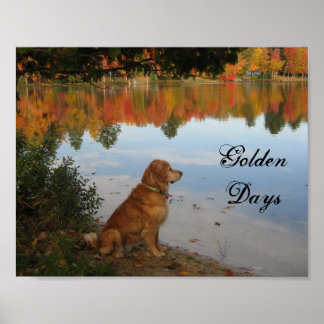 Affiches L'automne laisse Golden Retriever Chien