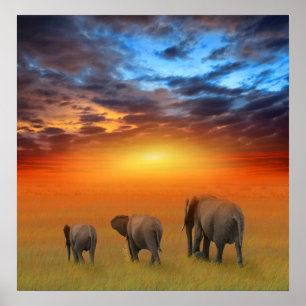 Affiches L'avenir est radieux