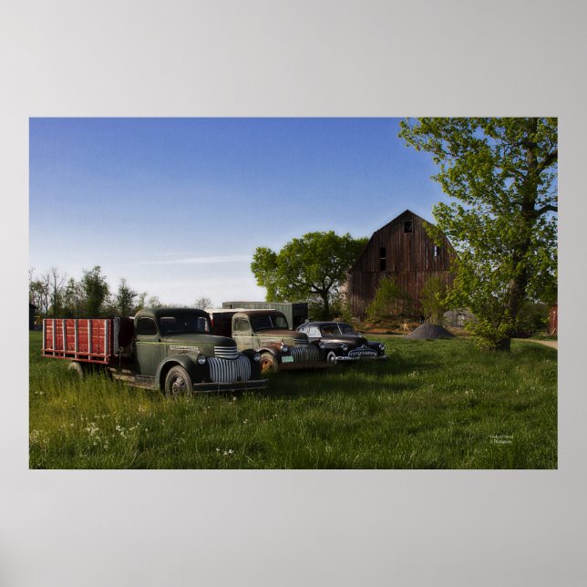 Affiches Lazy Dayz (Devant)