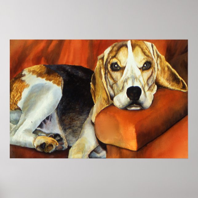 Affiches Lazy Lucy (Devant)