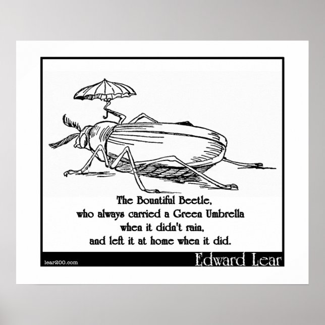 Affiches Le bel insecte (Devant)