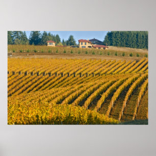 Affiches Le Black Walnut Inn, d'apparence toscane, surplomb