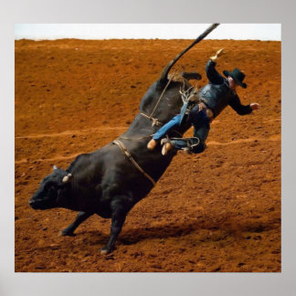 Affiches Le Bull Rider