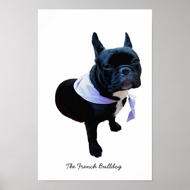 Affiches Le Bulldog français (Devant)