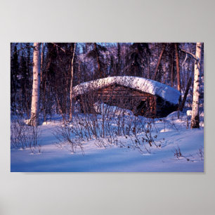Affiches Le Cabine du vieux trappeur