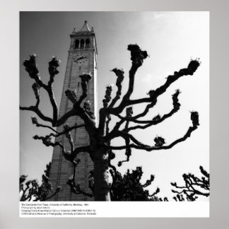 Affiches Le Campanile de Plaza, UC Berkeley, 1964