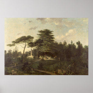 Affiches Le Cèdre du Liban dans le Jardin des Plantes