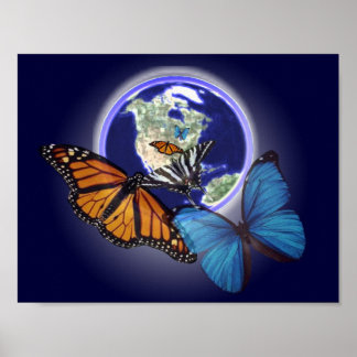 Affiches Le chaos et le papillon