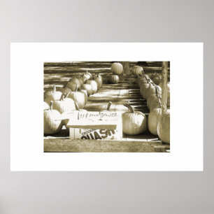 Affiches Le chariot de citrouille