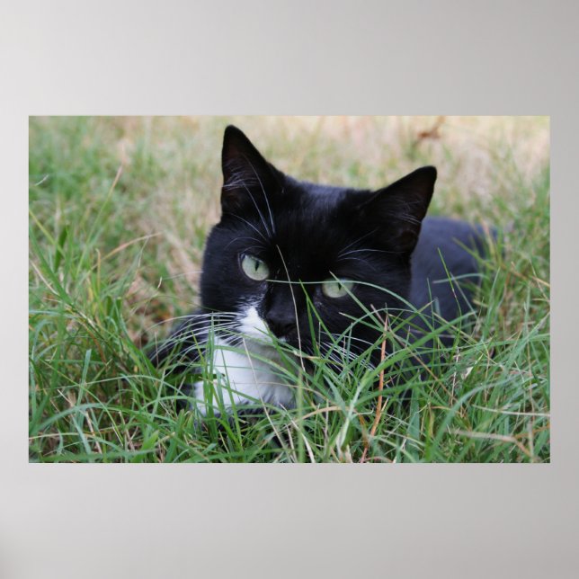 Affiches Le chasseur au repos (Devant)