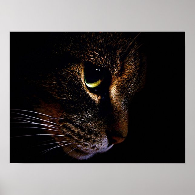 Affiches Le chat (Devant)