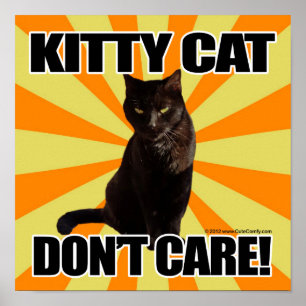 Affiches Le chat de Kitty ne s'inquiètent pas